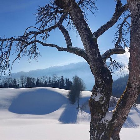 Bergapart Goetschl Rettenschoess Екстериор снимка